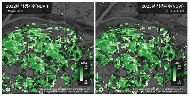 나라스페이스 어스페이퍼팀이 위성 영상을 활용해 분석한 전남 나주시 식생지수. 지난해와 2022년 식생지수 차이를 비교한다./나라스페이스