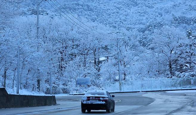 20일 강원 강릉시 성산면 대관령 일원에 20㎝가 넘는 많은 눈이 내린 가운데 차들이 조심스럽게 운행하고 있다.ⓒ연합뉴스