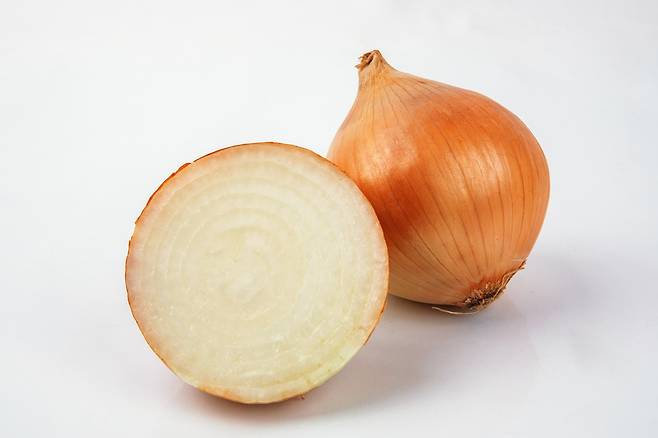 양파/사진=클립아트코리아