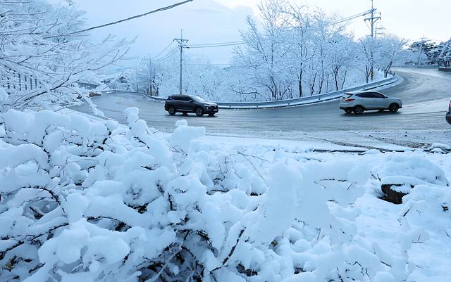 20일 강원 강릉시 성산면 대관령 일원에 20㎝가 넘는 많은 눈이 내린 가운데 차들이 조심스럽게 운행하고 있다. 