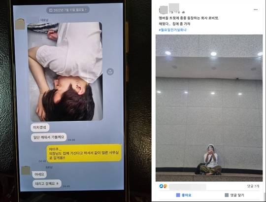 아이피큐가 공개한 자료. 사진l아이피큐 제공