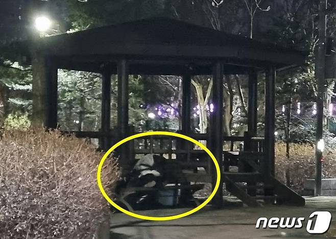 (보배드림 갈무리)