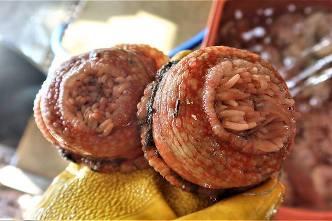 말미잘/김준 광주전남연구원 책임연구위원