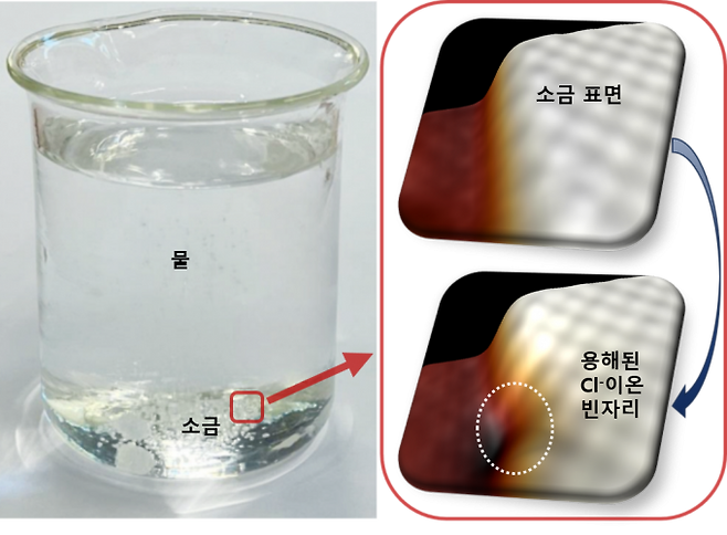 소금이 물에 녹아 소금물이 만들어질 때 염소 음이온이 먼저 떨어져 나와 물에 용해된다. UNIST 제공