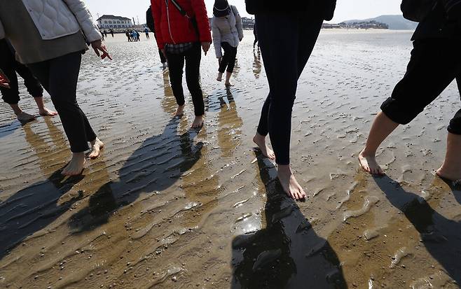 신두리해변에서 이뤄진 ‘어싱(earthing) 체험’. 박미향 기자