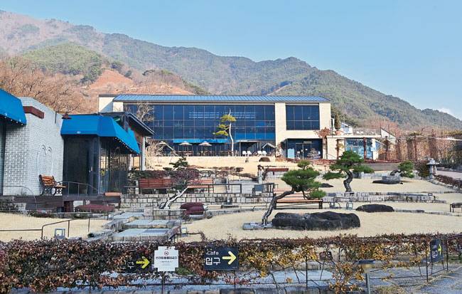 대형 카페 ‘더 로드 101’. 젊은이들을 차밭으로 끌어들인 수훈갑이다.