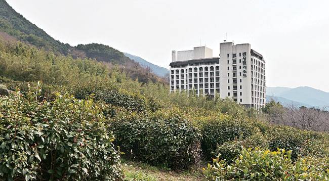 차 시배지 너머 차밭 사이에 들어선 켄싱턴리조트 지리산 하동.