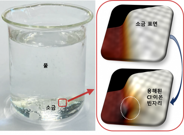 소금이 물에 녹는 이미지와 원자 세계에서 일어나는 단일 이온 용해. 유니스트