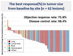 전체 전이 부위 중 33.9%에서 완전 반응(complete response)을, 41.9%에서 부분 반응(partial response)을 보였다, 객관적 반응율은 75.8%에 달했다.