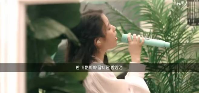 AI 커버곡으로 제작된 아이유 목소리의 밤양갱 커버 한 장면. 해당 유튜브 영상 제작자는 고정댓글로 AI로 제작했다고 표기했다. (사진, 유튜브 갈무리)