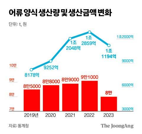 김영희 디자이너