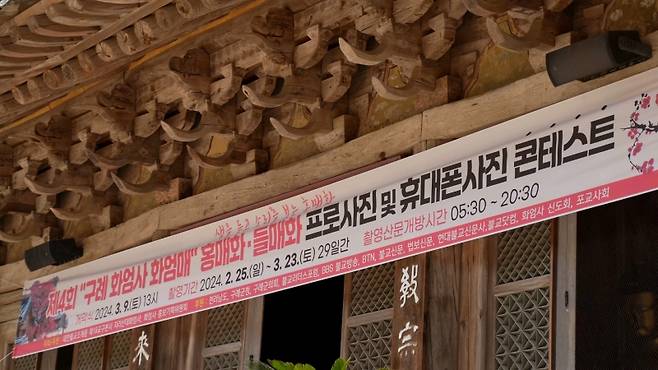 ▲홍매화·들매화 사진 콘테스트는 3월 31일(일)까지 연장됐다.