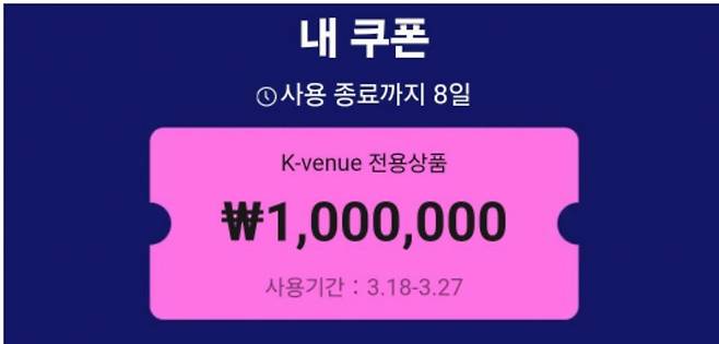 온라인 커뮤니티에 올라온 알리익스프레스 100만원 쿠폰 인증샷 ⓒ온라인 커뮤니티 캡처