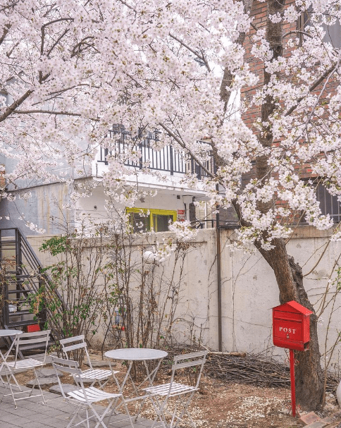 온라인 커뮤니티