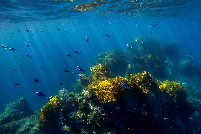 낚시 천국 노스랜드