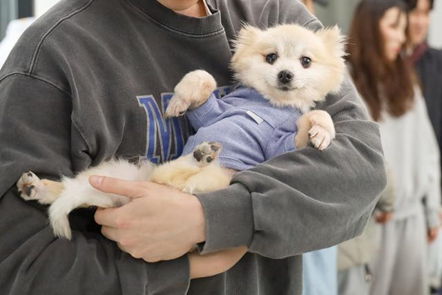 활동가 품에 안겨 있는 번식장 구조견. 동물자유연대 제공