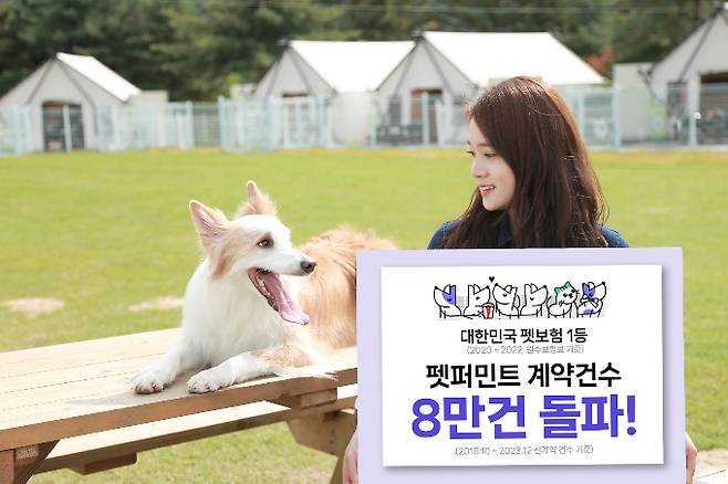 반려동물 두 마리 중 한 마리 이상 메리츠화재 가입한 것으로 나타났다./사진=메리츠화재