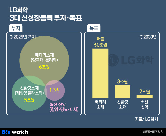 LG화학 3대 신성장동력 투자계획 및 목표./그래픽=비즈워치