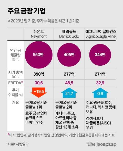 김영희 디자이너