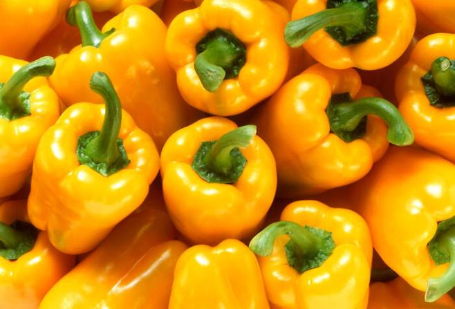 [사진=클립아트코리아]