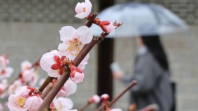 자료사진 제공: 연합뉴스