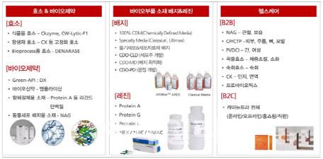 아미코젠 주요 사업 현황 (자료=아미코젠, 한국IR협의회)