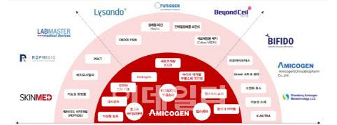 아미코젠 계열사 현황 (자료=아미코젠, 한국IR협의회)