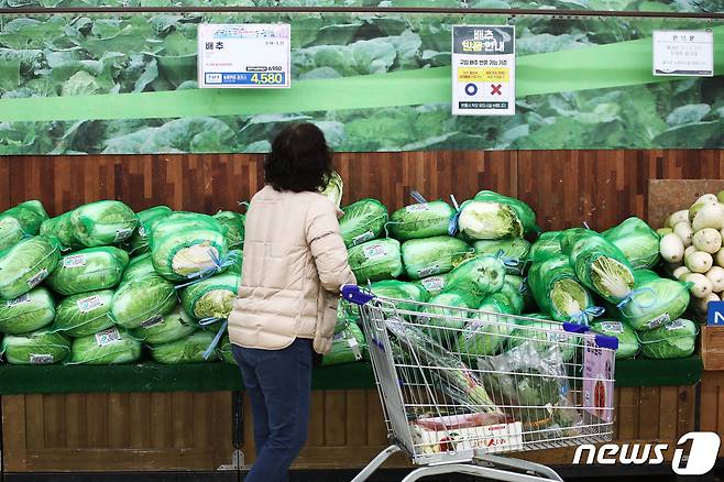 과일·채소류의 가격 급등이 이어지고 있는 14일 서울 서초구 하나로마트 양재점에서 열린 대국민 물가안정 할인행사를 찾은 고객이 배추 가격을 확인하고 있다. 2024.3.14/뉴스1 ⓒ News1 이광호 기자