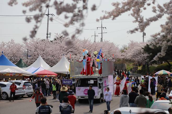 올해 선진리성 벚꽃축제는 단순히 보기만 하던 기존의 행사를 벗어나 체험·시음·시식부스 운영 등 관광객들이 참여할 수 있는 축제로 탈바꿈한다.