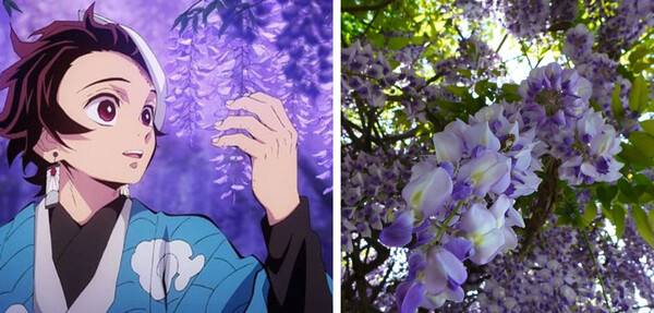 일본 사진 명소 / 온라인 커뮤니티