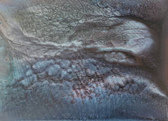 허허당 겁외풍경- 화석 물고기