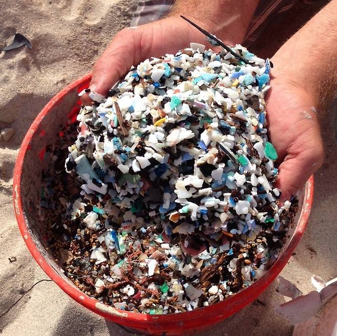 미국 국립해양대기청(NOAA) 연구팀이 미국 하와이 앞바다에서 건져올린 플라스틱 조각들이다. [사진=NOAA]