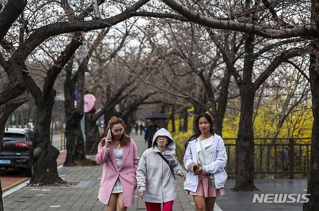 [서울=뉴시스] 정병혁 기자 = 여의도봄꽃축제 개막을 하루 앞둔 28일 서울 영등포구 여의서로를 찾은 시민들이 벚나무 아래에서 이동하고 있다. 영등포구는 29일부터 오는 4월 2일까지 여의서로 국회뒷편 일대에서 영등포 여의도봄꽃축제를 개최한다. 2024.03.28. jhope@newsis.com