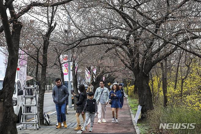 [서울=뉴시스] 정병혁 기자 = 여의도봄꽃축제 개막을 하루 앞둔 28일 서울 영등포구 여의서로를 찾은 시민들이 벚나무 아래에서 이동하고 있다. 영등포구는 29일부터 오는 4월 2일까지 여의서로 국회뒷편 일대에서 영등포 여의도봄꽃축제를 개최한다. 2024.03.28. jhope@newsis.com