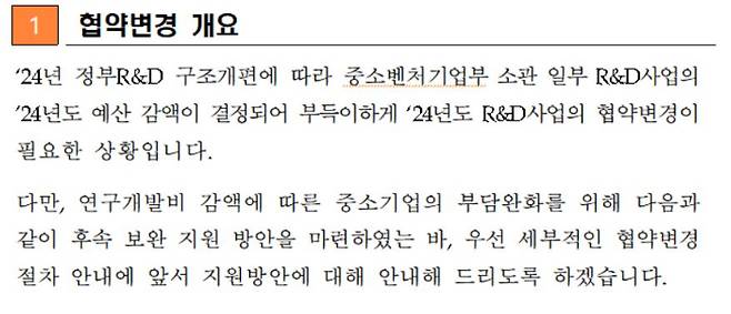중소벤처기업부가 R&D 예산 삭감과 관련해 제시한 지원방안. 중소벤처기업부 제공