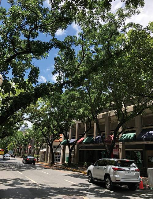 그린벨트의 전경.