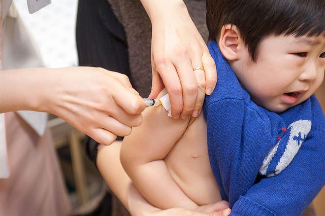 일본뇌염은 1~12세 때 무료 예방접종으로 막을 수 있다. 한국일보 자료사진