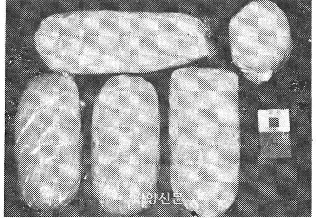 한국은 1980년대까지 히로뽕 최대 생산지였고, 대부분 일본으로 밀수됐다. 밀수 단속이 강화되면서 일본으로 넘어가지 못한 히로뽕은 국내에 풀리기 시작한다. 1980년대 압수된 히로뽕과 담뱃갑을 비교한 사진이다. 경향신문 자료사진