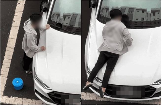 차에 몸을 비비는 남성, 사진 편집 [사진출처=보배드림]