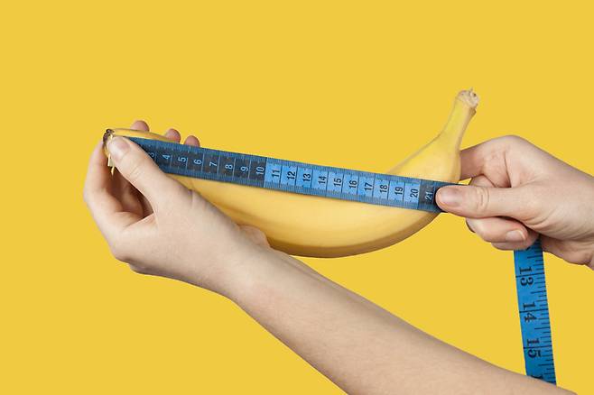 음경의 평균 크기는 발기 전이 약 9cm, 발기된 경우 약 13cm다.  [사진= 게티이미지뱅크]