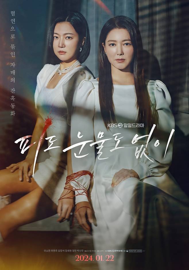 KBS 2TV '피도 눈물도 없이' 포스터