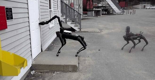 문을 여는 시범을 보이고 있는 로봇 개 스폿. 유튜브 갈무리