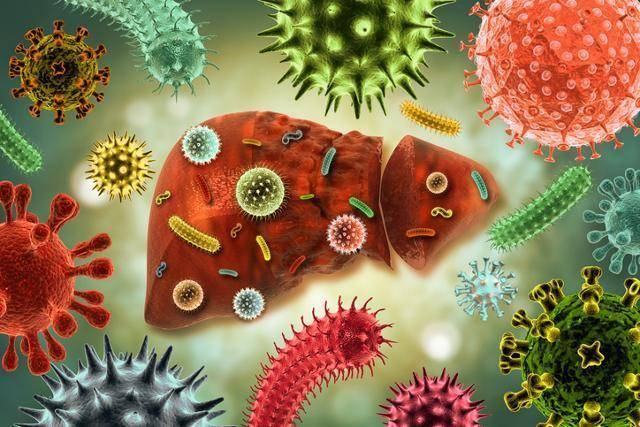 게티이미지뱅크