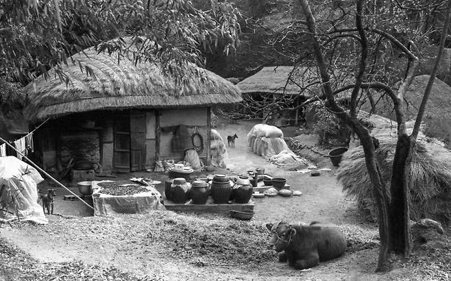 ▲'어머니의 안뜰'(1988년, 강진). 사진 : 본인 제공