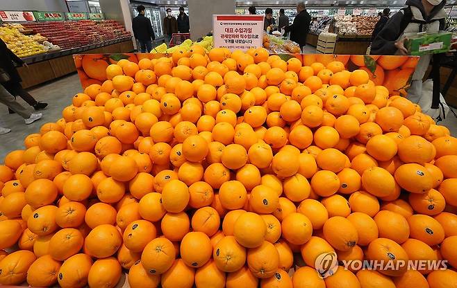 농식품부, aT직수입 오렌지·바나나 공급 (서울=연합뉴스) 이재희 기자 = 21일 농림축산식품부는 가격이 폭등한 과일 수요를 대체하기 위해 한국농수산식품유통공사(aT)를 통해 직수입한 오렌지, 바나나 등 수입 과일을 이날부터 대형마트에 공급한다고 밝혔다. 이달 중 바나나 1천400여t(톤), 오렌지 600여t 등 수입 과일 2천t 이상을 시장에 공급한다. 사진은 이날 서울 한 대형마트에 진열된 오렌지. 2024.3.21 scape@yna.co.kr