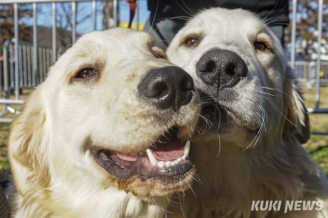 쿠키뉴스 자료사진