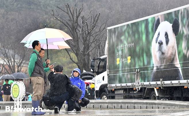 강철원 사육사와 송영관 사육사가 3일 오전 용인 에버랜드 장미원에서 푸바오 팬들에게 보내는 감사 편지를 낭독하고 있다./사진=사진공동취재단