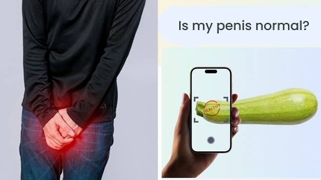 남성 성기 사진을 찍어 보내면 성병 유무를 판단해 성관계 '적신호'를 보내준다는 인공지능(AI) 앱 '칼마라' . 개인정보 유출 우려와 정확성을 둘러싸고 논란이 일고 있다. [사진= 좌측 :게티이미지뱅크 / 우측 :히헬스(hehealth.ai) 홈페이지]