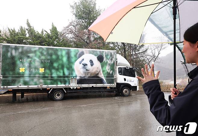 3일 오전 경기 용인시 에버랜드에서 직원들이 중국으로 가는 자이언트 판다 '푸바오'를 실은 특수차량을 보며 배웅하고 있다. 2024.4.3/뉴스1 ⓒ News1 사진공동취재단