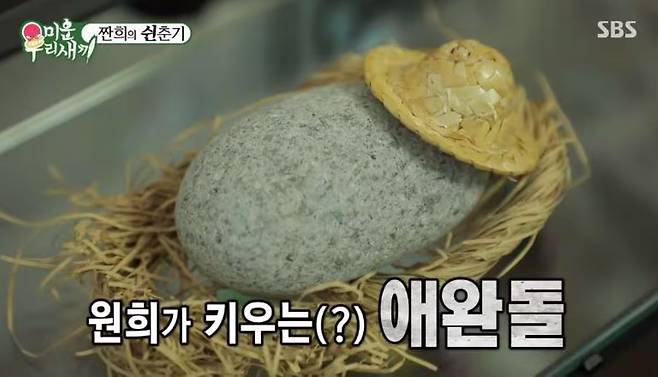 반려돌을 키우며 외로움과 고립감을 극복하려 하는 사람이 늘었다. 사진은 배우 임원희가 키우는 반려돌. /사진=SBS 예능 ‘미운 우리 새끼’ 캡처